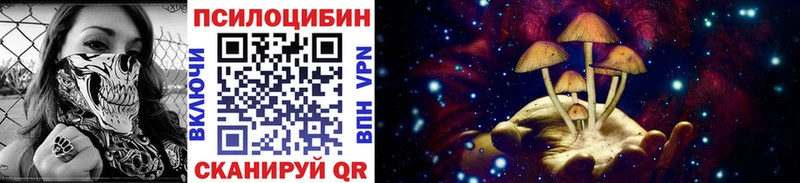 купить наркотики сайты  Гороховец  Псилоцибиновые грибы Psilocybine cubensis 